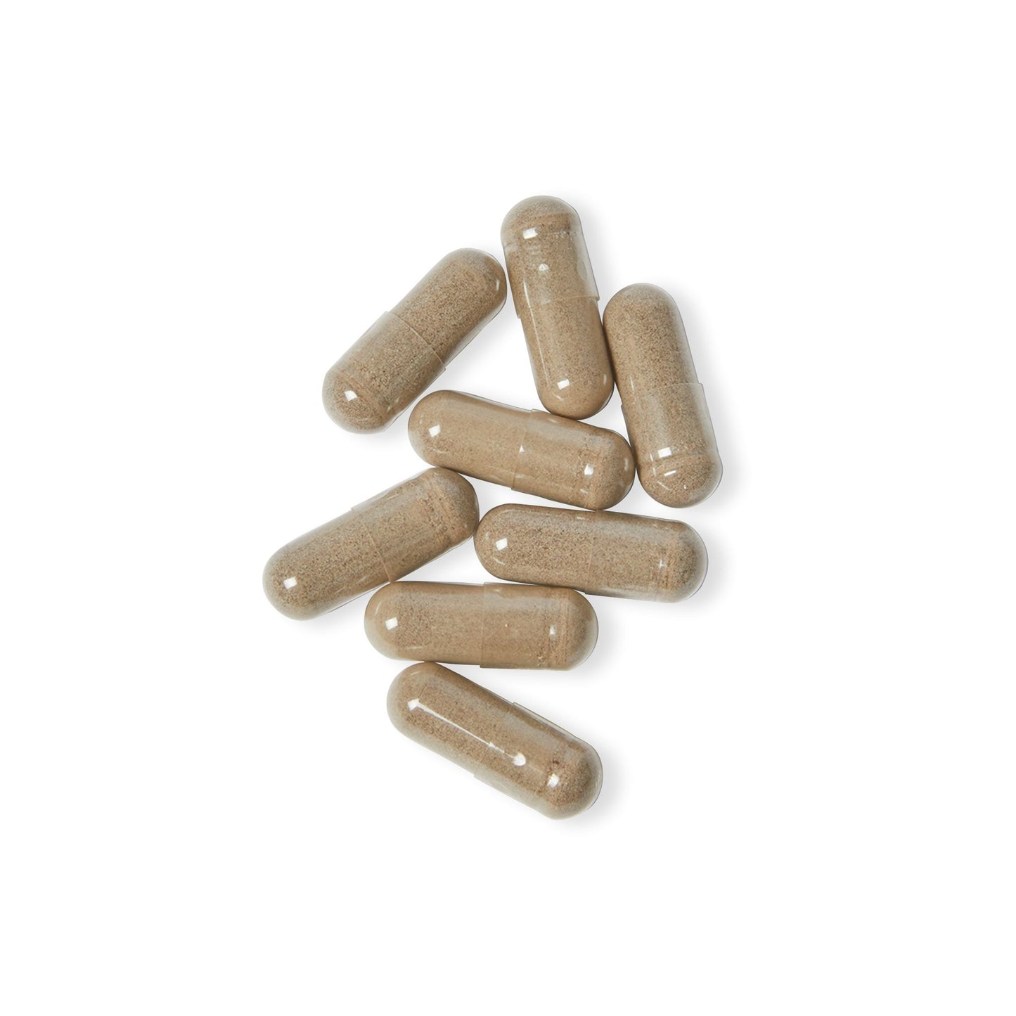 Tidal Balance – 60 Sea Moss Capsules - LUXESHOP.ME