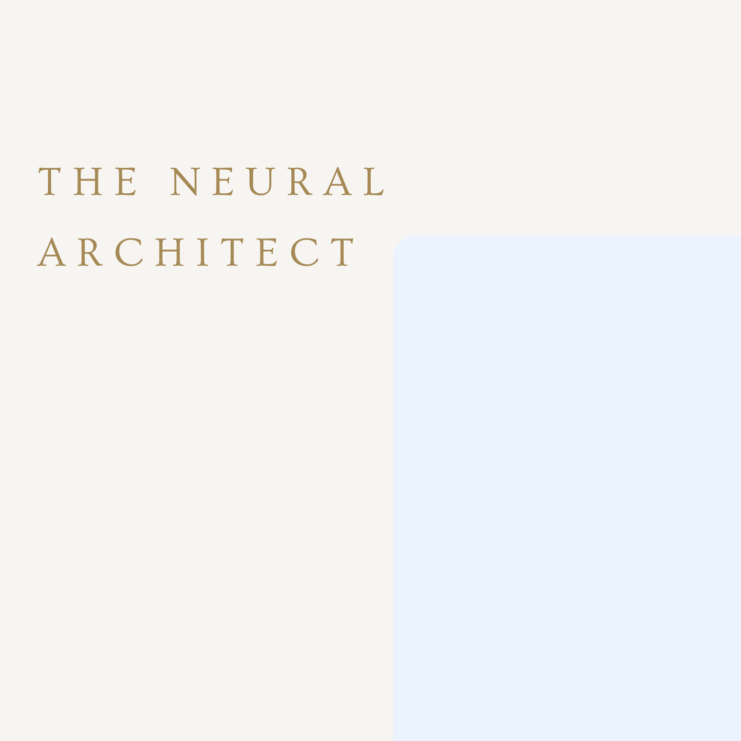 Rooted Clarity // Mushroom Blend - LUXESHOP.ME