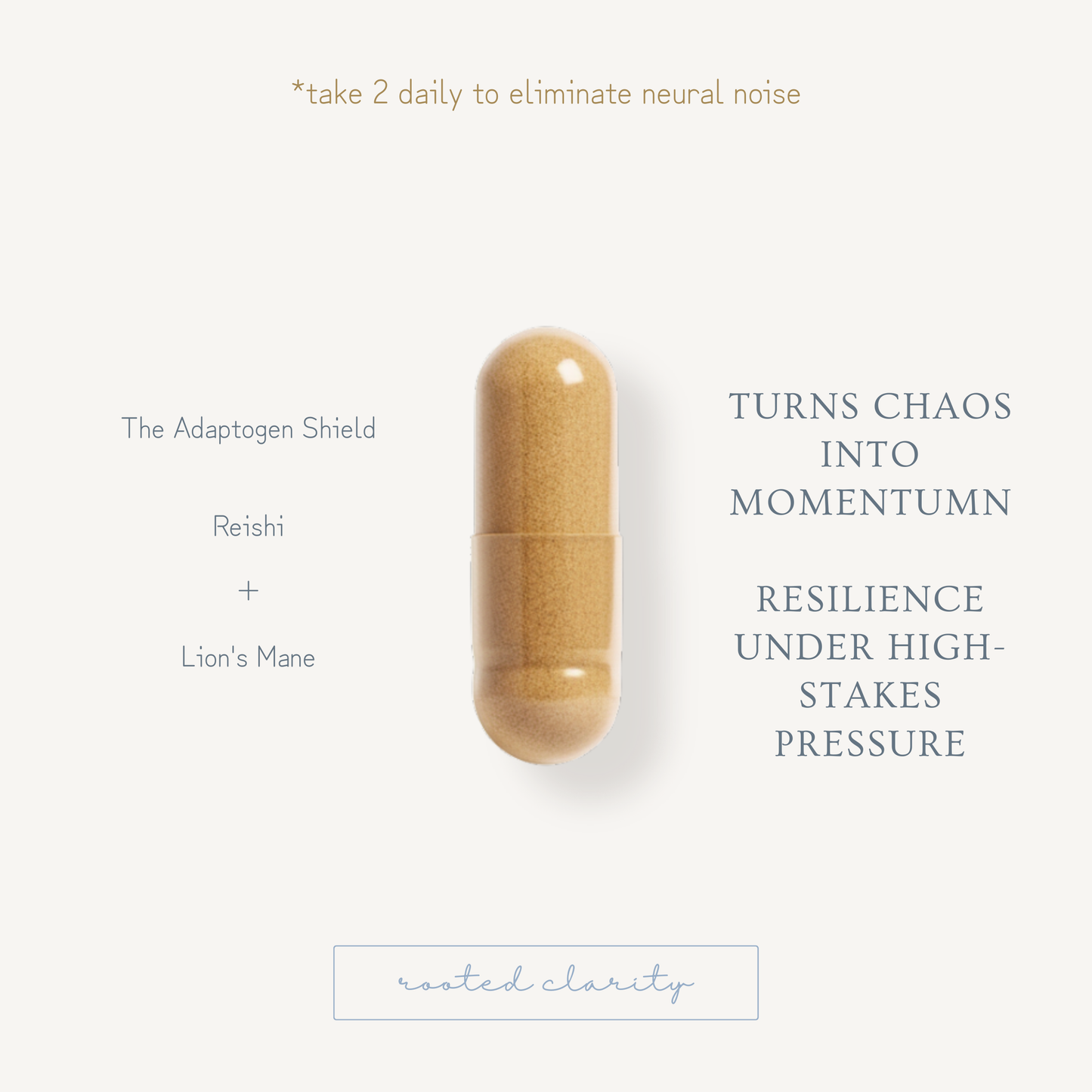 Rooted Clarity // Mushroom Blend - LUXESHOP.ME