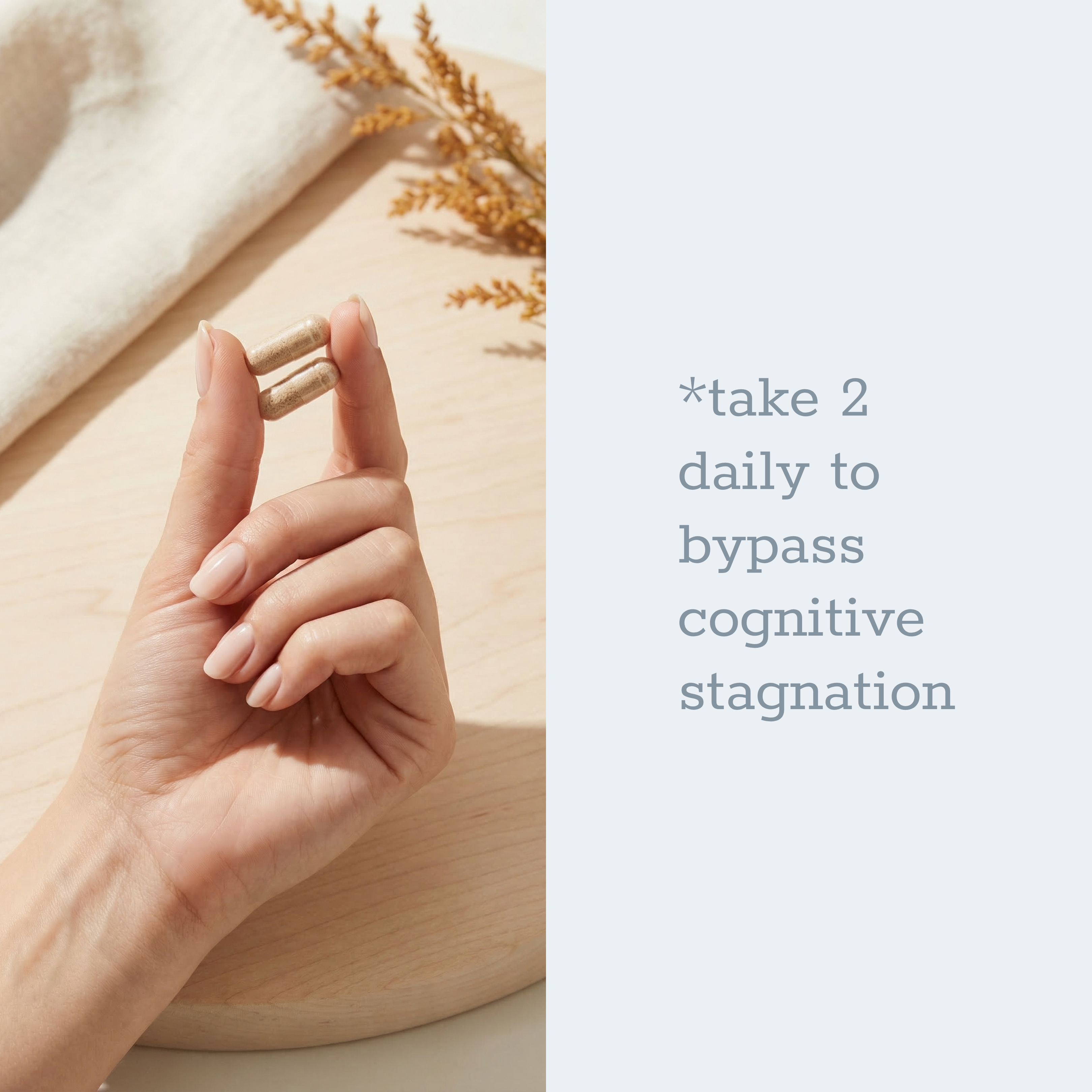 Prime Axis - LUXESHOP.ME