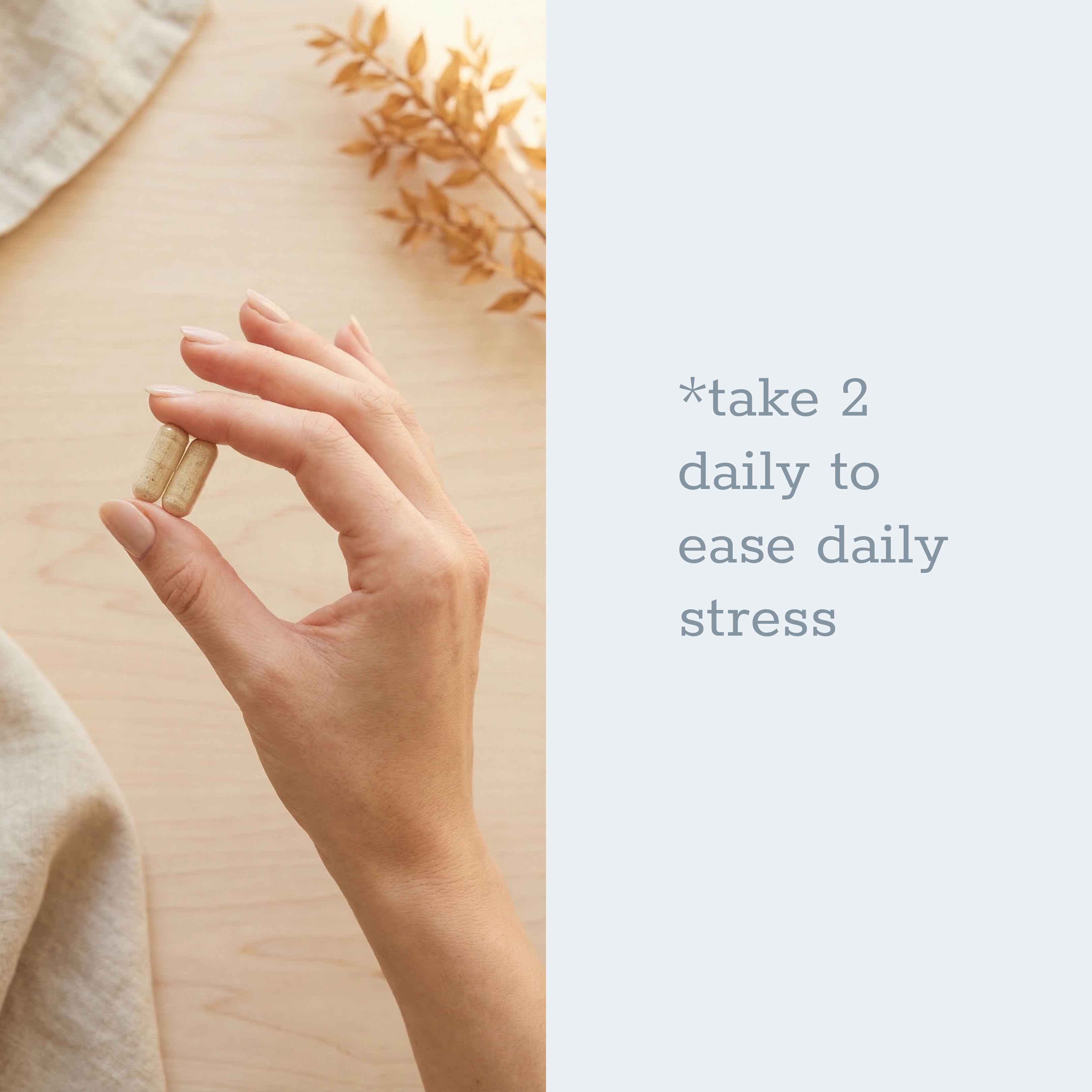 Still Core - LUXESHOP.ME