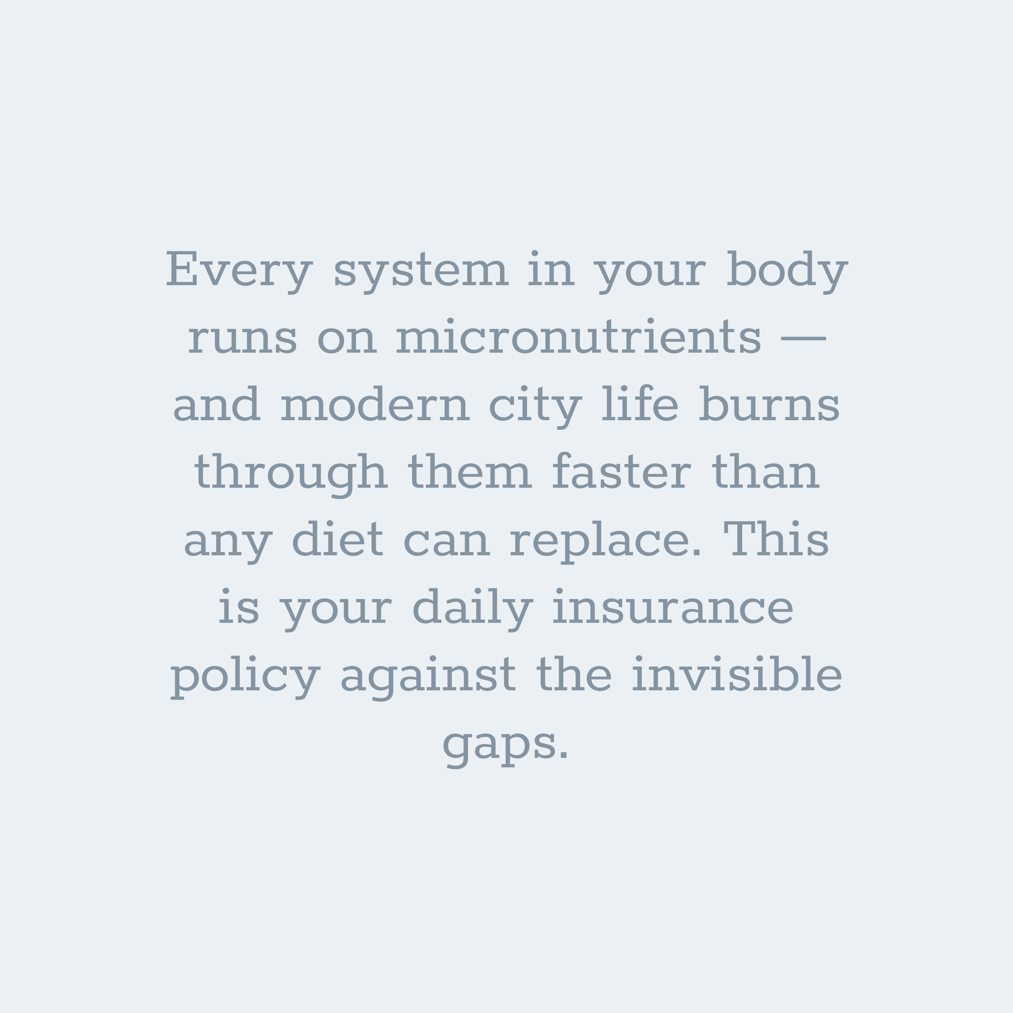 Steady Anchor - LUXESHOP.ME