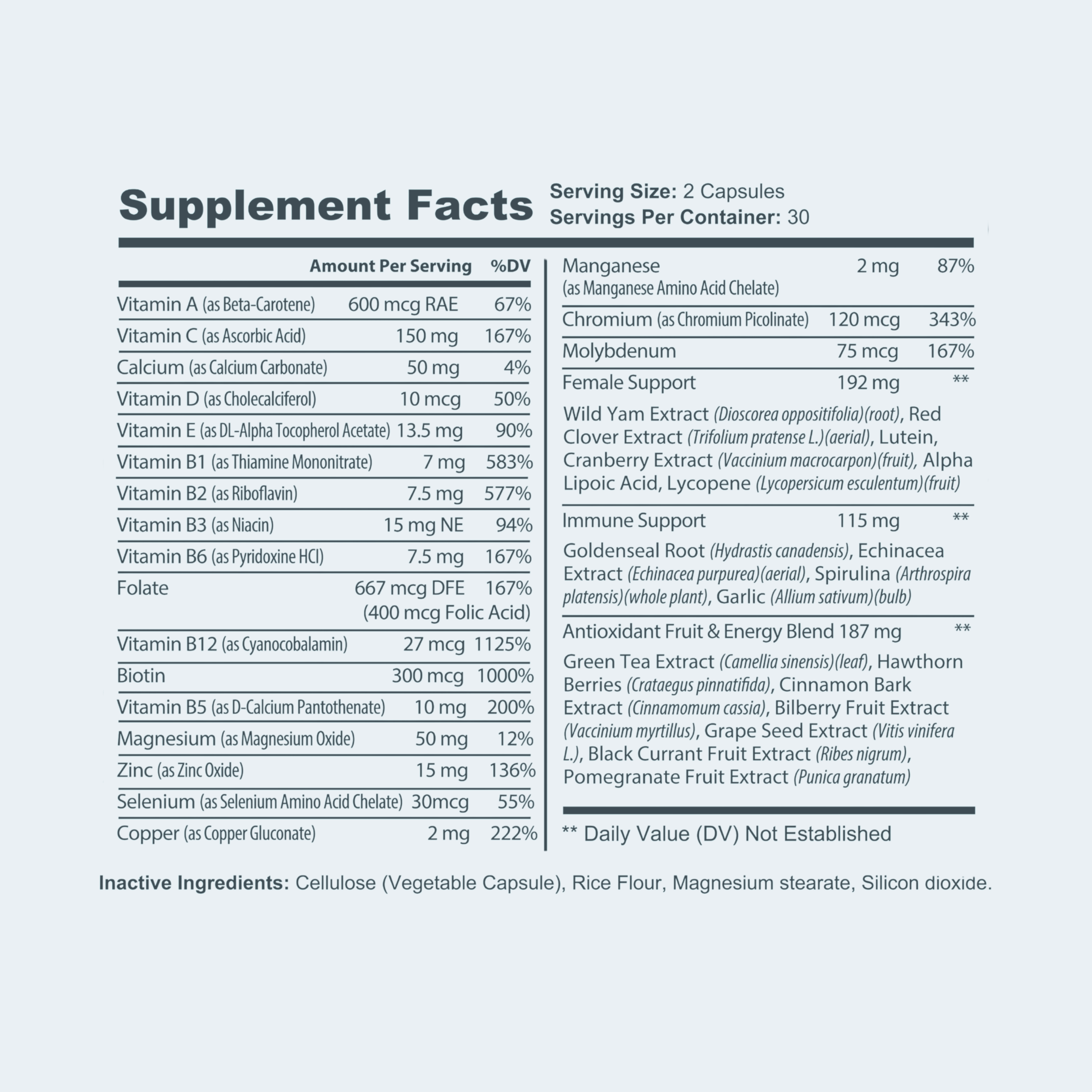 Steady Anchor - LUXESHOP.ME