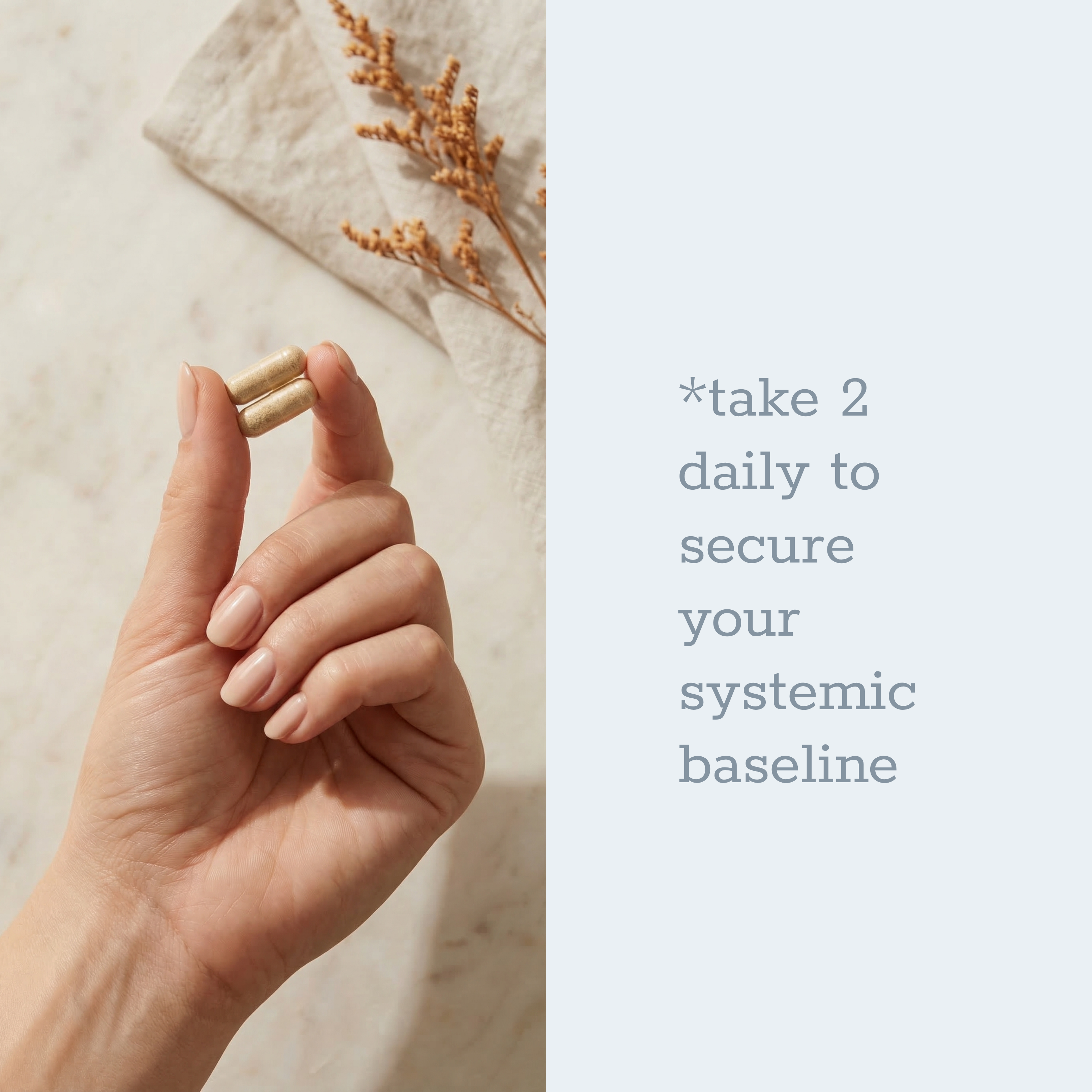 Steady Anchor - LUXESHOP.ME