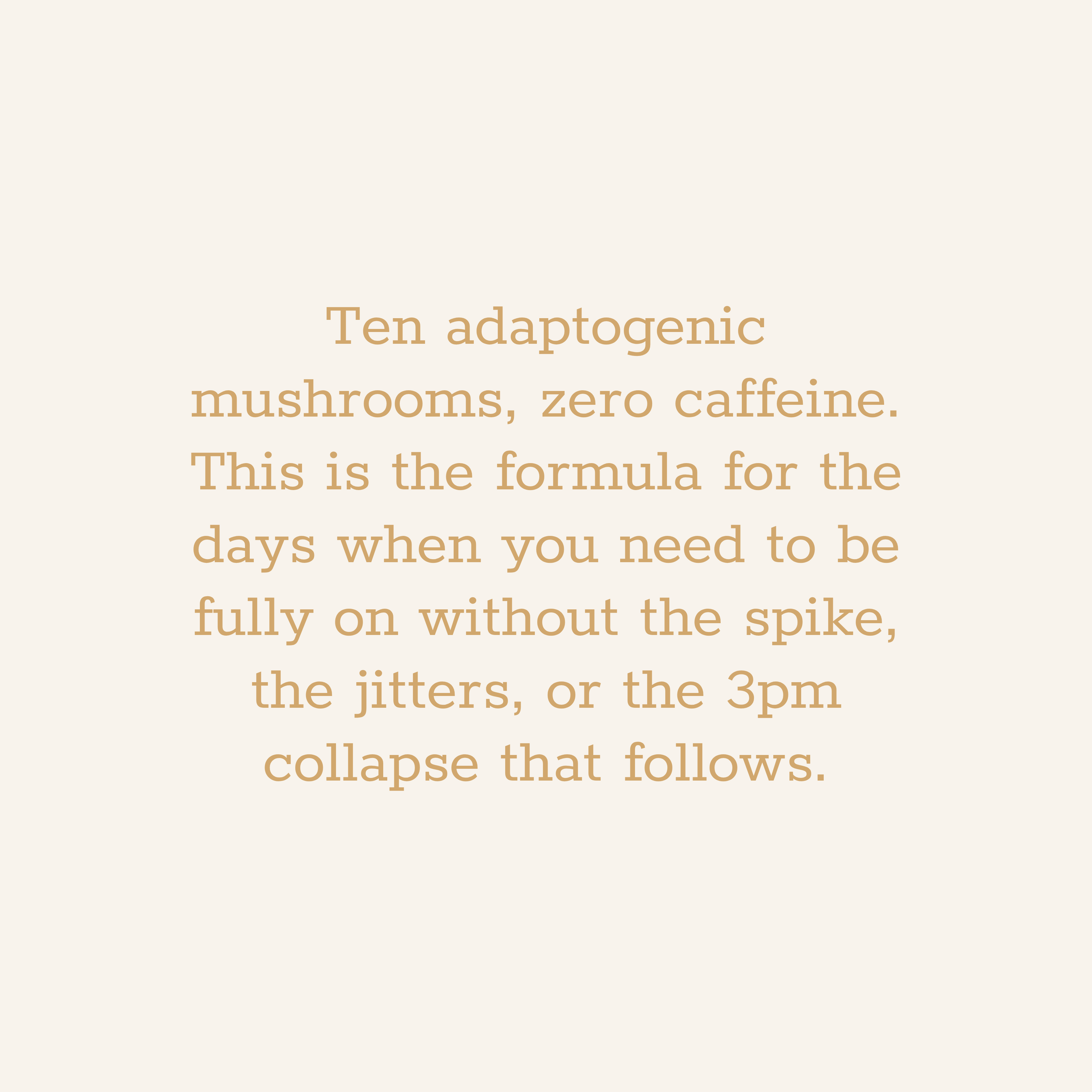 Rooted Clarity - LUXESHOP.ME