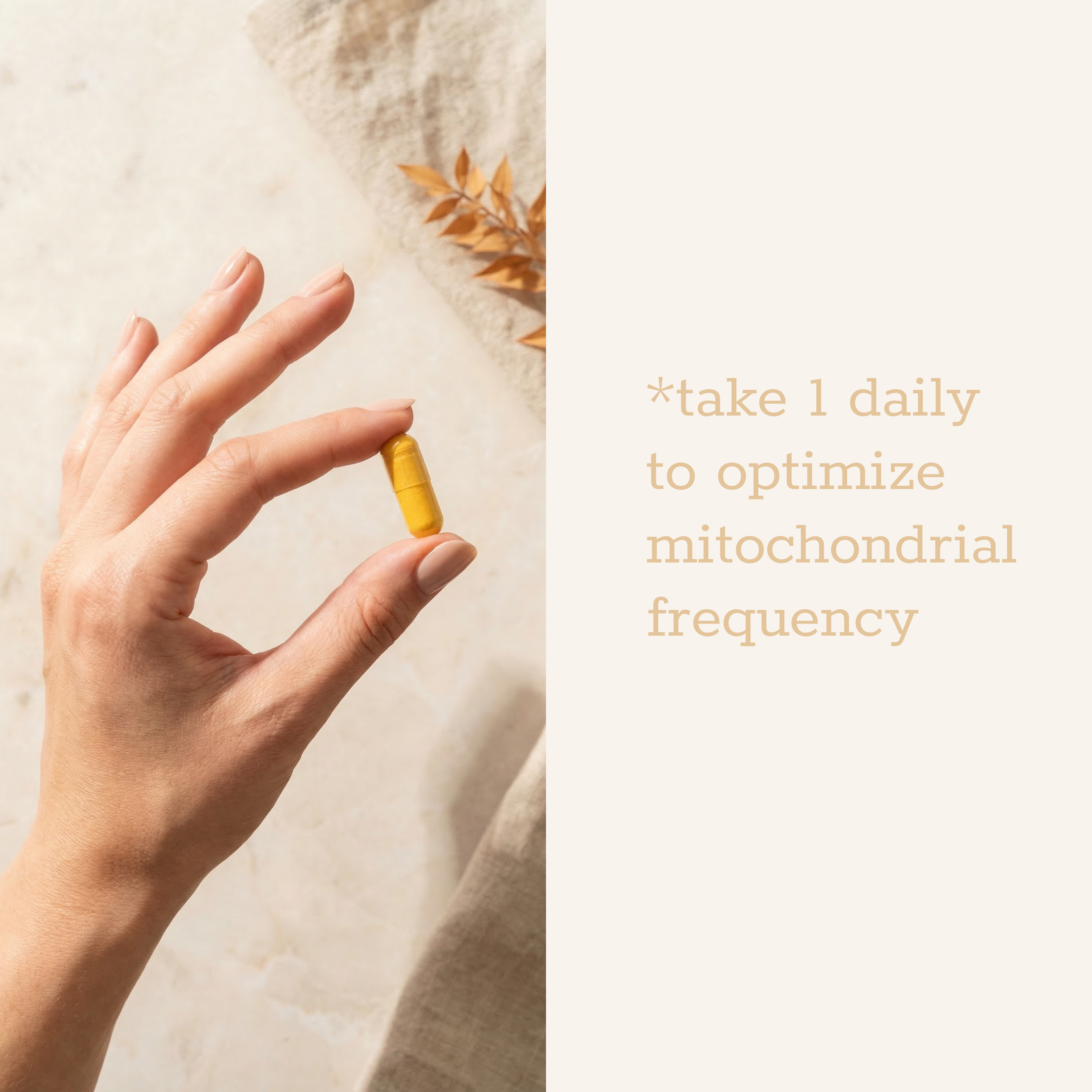 Pulse Core - LUXESHOP.ME